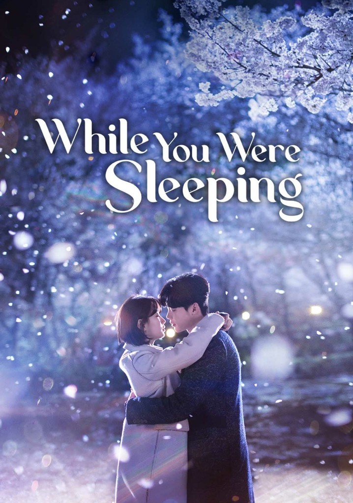 While You Were Sleeping streaming online